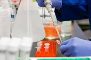 bioéquivalence Algérie