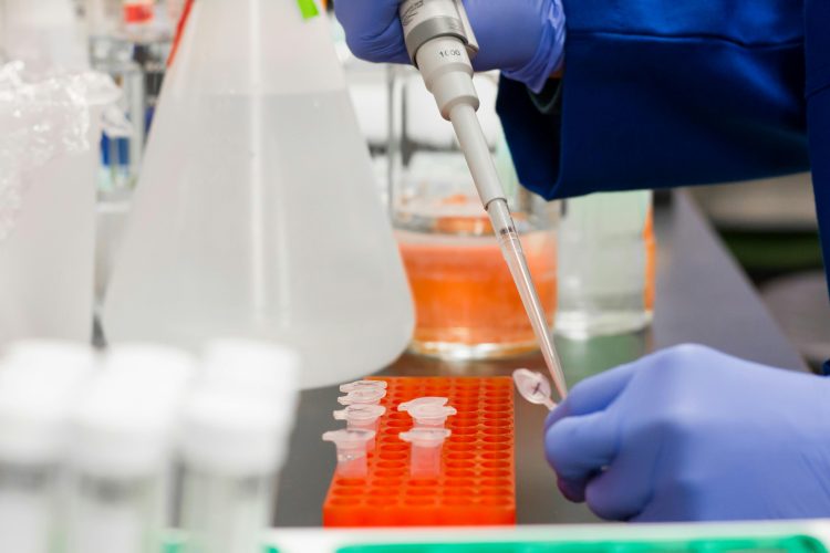 bioéquivalence Algérie