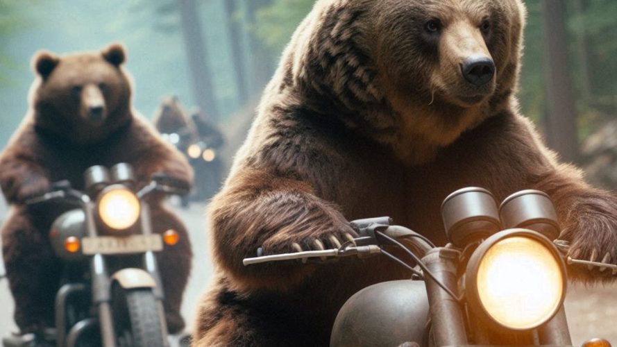 ours conduisant une moto dans le bois de Bouchaoui